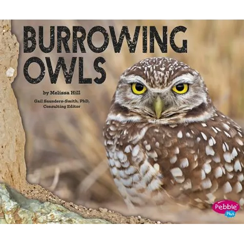 Burrowing Owls