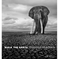 Walk the Earth: Photographs of Africa's Last Great Elephants