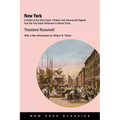 New York: A Sketch of the City's Social, Political, and Commercial Progress from the First Dutch Settlement to Recent Times