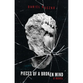 Pieces of a Broken Mind