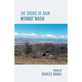 The Sound of Rain Without Water