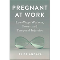 Pregnant at Work: Low-Wage Workers, Power, and Temporal Injustice