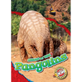 Pangolins