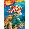 Sea Turtles