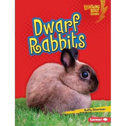 Dwarf Rabbits