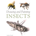 Drawing and Painting Insects