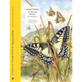Insectopia: The Wonderful World of Insects