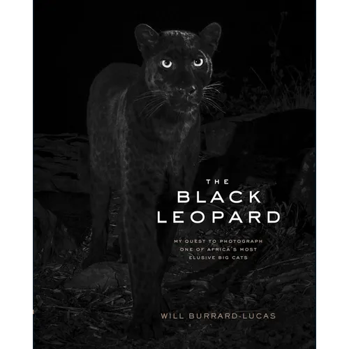 The Black Leopard: My Quest to Photograph One of Africa's Most Elusive Big Cats