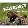 Wolverines: Nature's Cleanup Crew