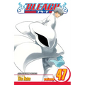 Bleach, Vol. 47