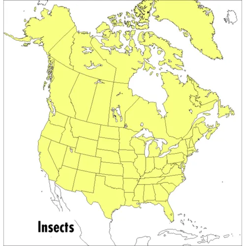 A Peterson Field Guide to Insects: America North of Mexico