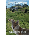 City Canyons