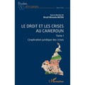 Le droit et les crises au Cameroun. Tome1: L'explication juridique des crises