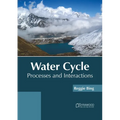 Water Cycle: Processes and Interactions