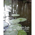 Caddo Lake: water, light and atmosphere