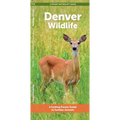 Denver Wildlife