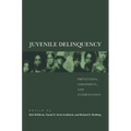 Juvenile Delinquency: Prevention, Assessment, and Intervention