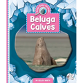 Beluga Calves