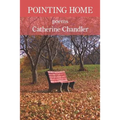 Pointing Home