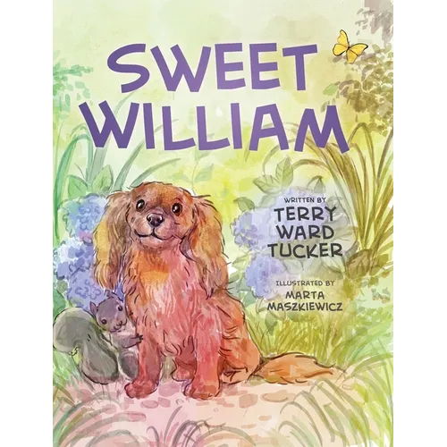Sweet William