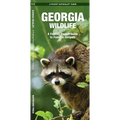 Georgia Wildlife
