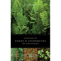 A Field Guide to the Ferns and Lycophytes of Louisiana