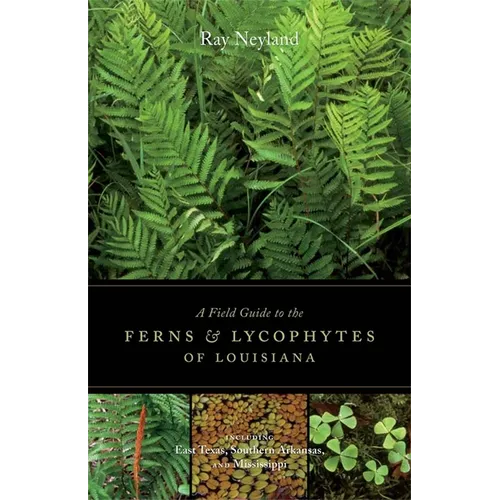 A Field Guide to the Ferns and Lycophytes of Louisiana