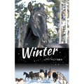 Winter with Horses