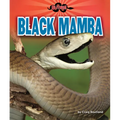 Black Mamba