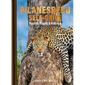 Pilanesberg Self-Drive: Routes, Roads & Ratings