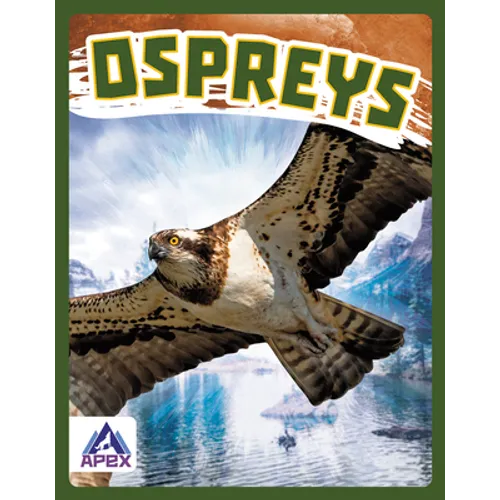 Ospreys