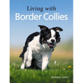 Living with Border Collies