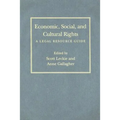 Economic, Social, and Cultural Rights: A Legal Resource Guide