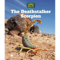 The Deathstalker Scorpion