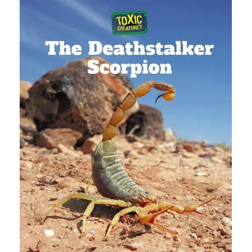 The Deathstalker Scorpion