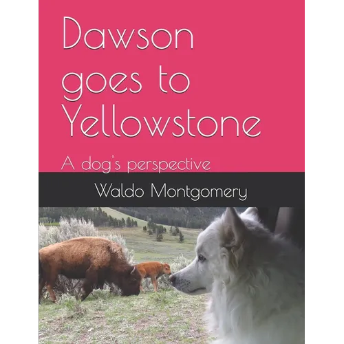 Dawson goes to Yellowstone