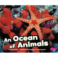 An Ocean of Animals