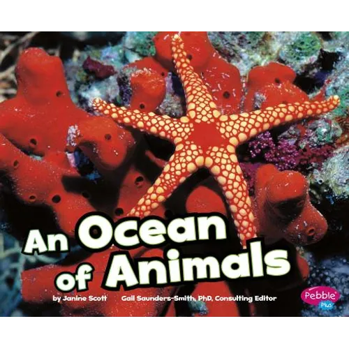 An Ocean of Animals