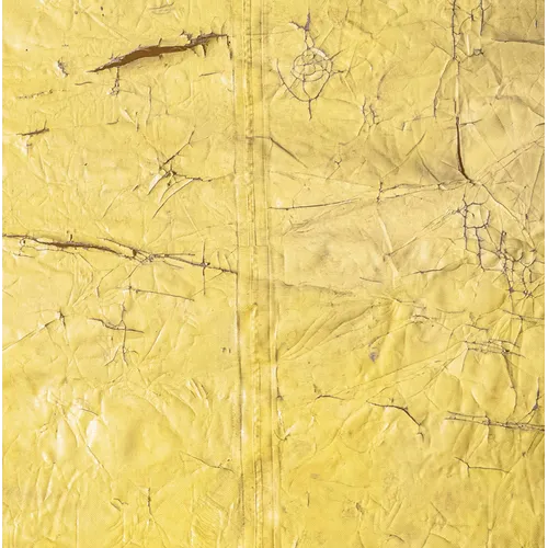 David Hammons