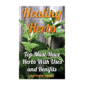 Healing Herbs: Top Must-Have Herbs With Uses and Benifits