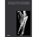 Aurelio Amendola for Michelangelo: The Primacy of the Informal