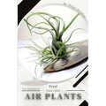 Air plants: Prodigy Petal, Plant Guide