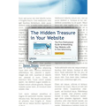 The Hidden Treasure in Your Website: The First Professional Guide to Monetizing Your Website with In-Text Advertising