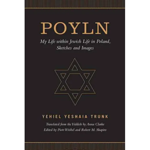 Poyln: My Life within Jewish Life in Poland, Sketches and Images