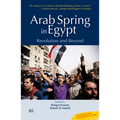 Arab Spring in Egypt: Revolution and Beyond
