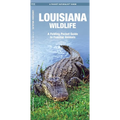Louisiana Wildlife: A Folding Pocket Guide to Familiar Animals