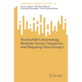 Hochschild Cohomology, Modular Tensor Categories, and Mapping Class Groups I