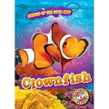 Clownfish