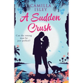 A Sudden Crush (Special Rainbow Edition): An enemies to lovers, grumpy sunshine romantic comedy