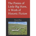 The Ponies of Little Big Horn, A Work of Historic Fiction